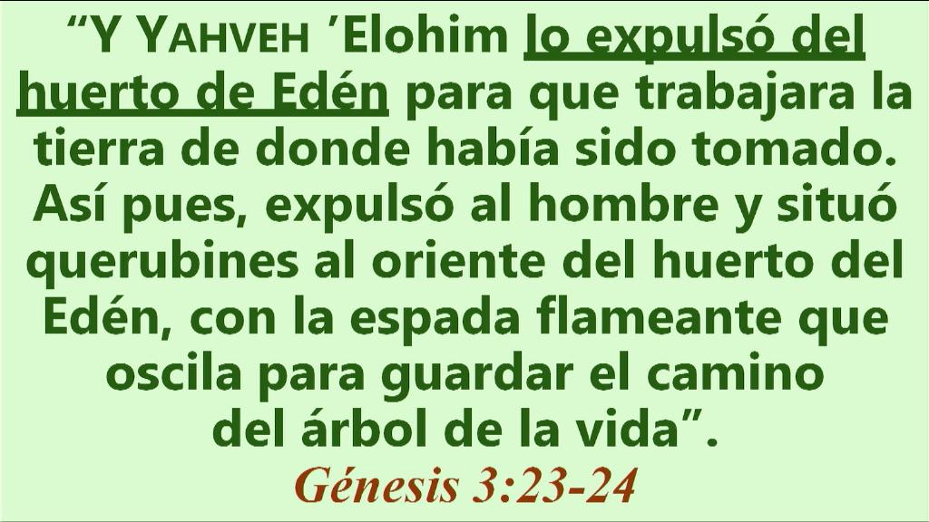 Esperanza de Vida 2025 05 25 11 32 5963