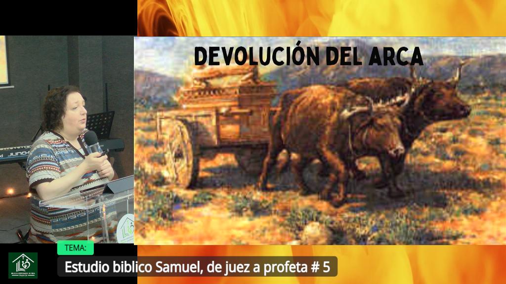 Esperanza de Vida 2025 05 28 19 00 1120 Esperanza de Vida 2025 05 28 19 00 1120
