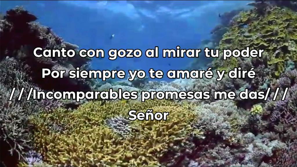 Esperanza de vida 2025 05 11 11 41 247