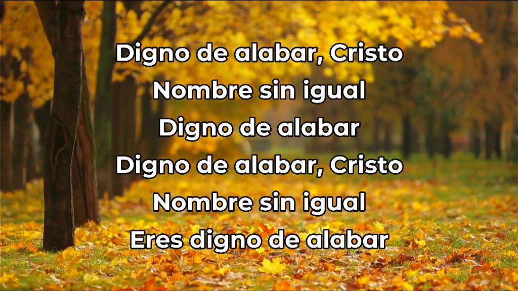 Esperanza de Vida 2025 06 08 11 32 3412