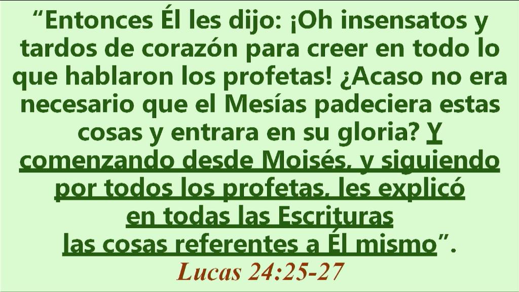 Esperanza de Vida 2025 06 08 11 32 3445