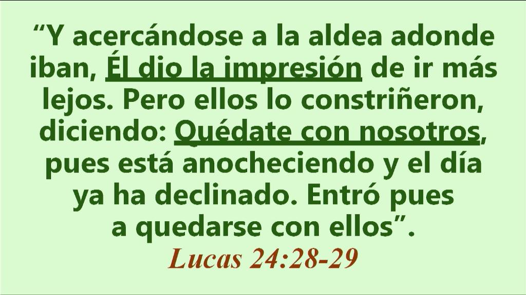 Esperanza de Vida 2025 06 08 11 32 3447
