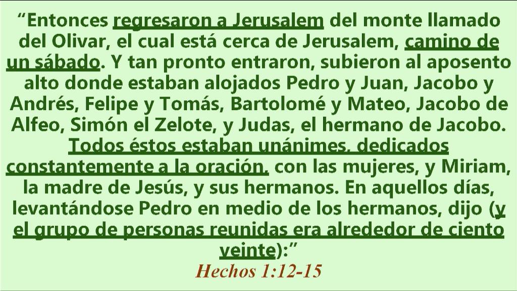 Esperanza de Vida 2025 06 08 11 32 3462