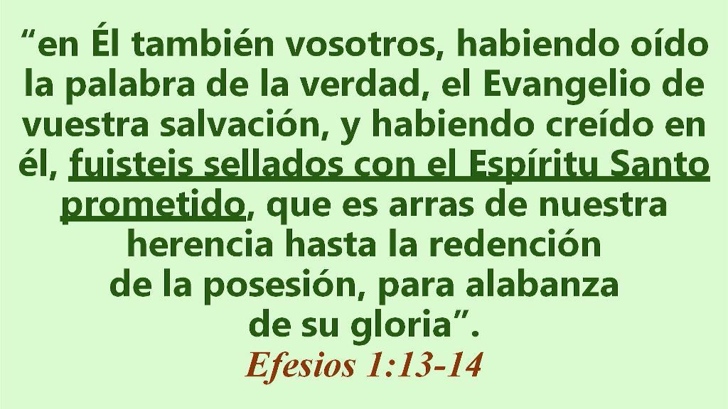 Esperanza de Vida 2025 06 15 11 33 4028