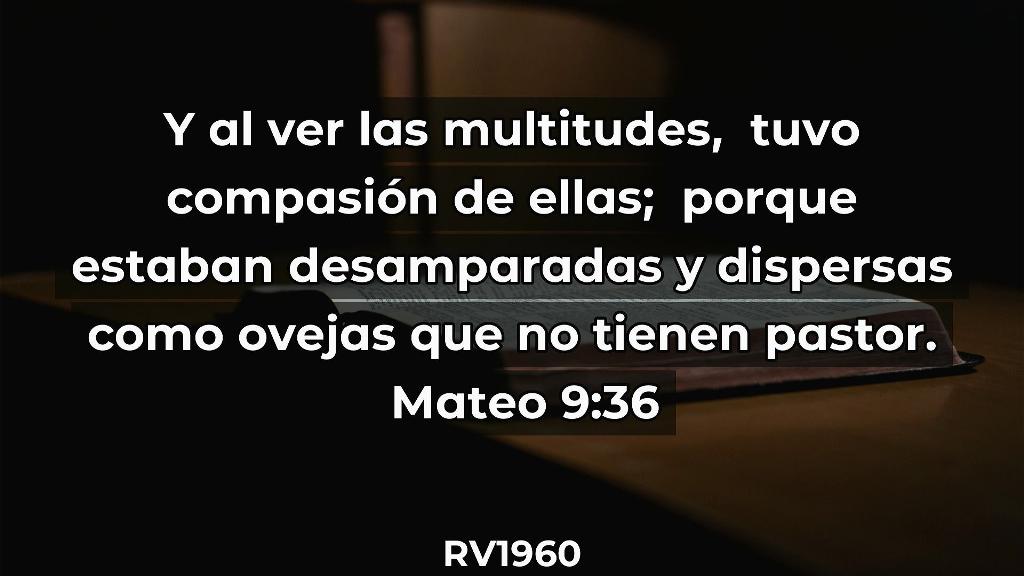 Esperanza de Vida 2025 06 22 11 34 1429 Esperanza de Vida 2025 06 22 11 34 1429