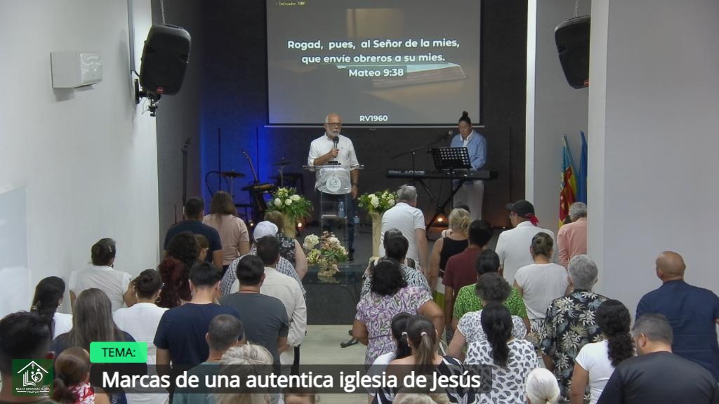 Esperanza de Vida 2025 06 22 11 34 1436 Esperanza de Vida 2025 06 22 11 34 1436