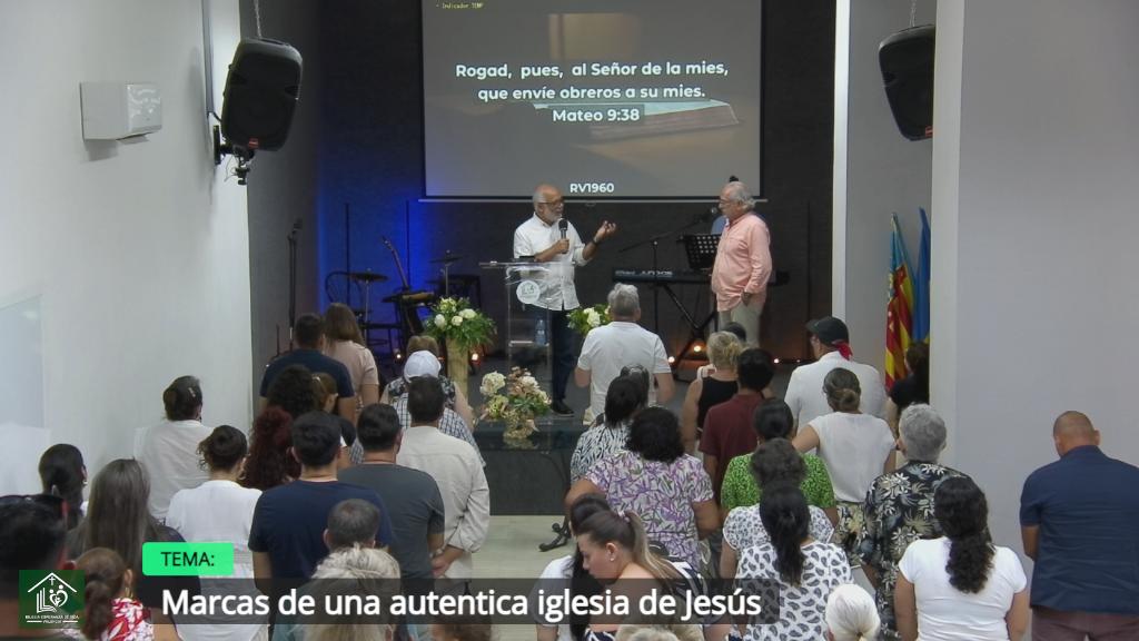 Esperanza de Vida 2025 06 22 11 34 1437 Esperanza de Vida 2025 06 22 11 34 1437
