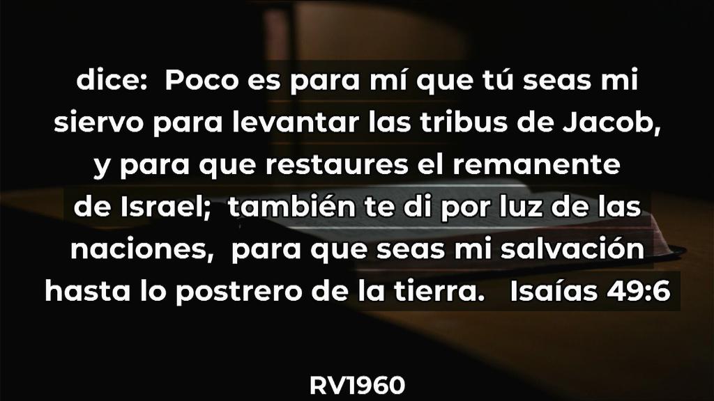 Esperanza de Vida 2025 07 06 11 35 3228