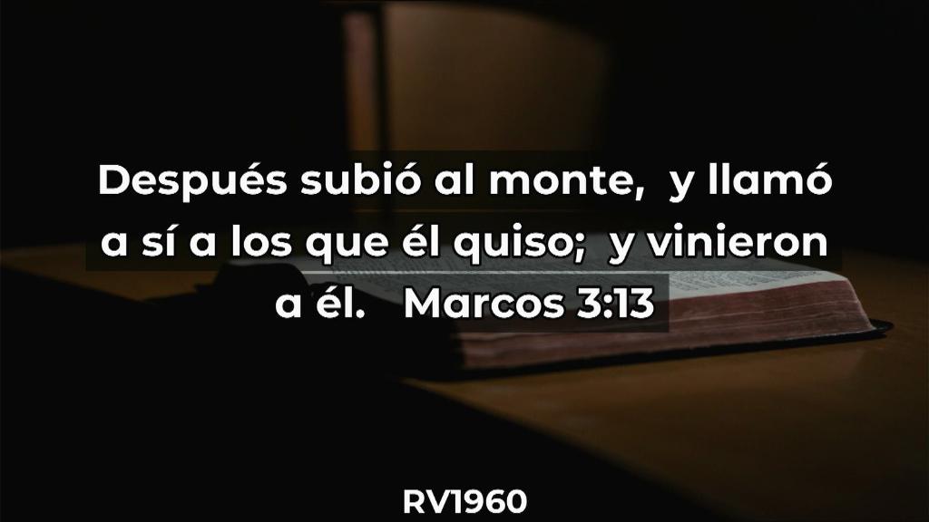 Esperanza de Vida 2025 07 06 11 35 3230