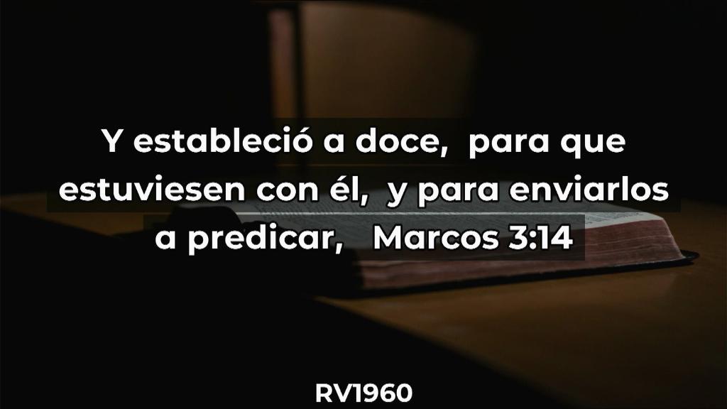 Esperanza de Vida 2025 07 06 11 35 3231