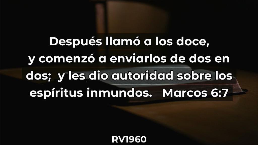 Esperanza de Vida 2025 07 06 11 35 3232