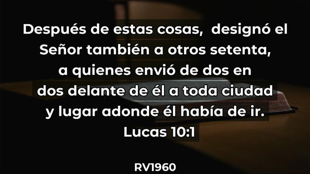Esperanza de Vida 2025 07 06 11 35 3235
