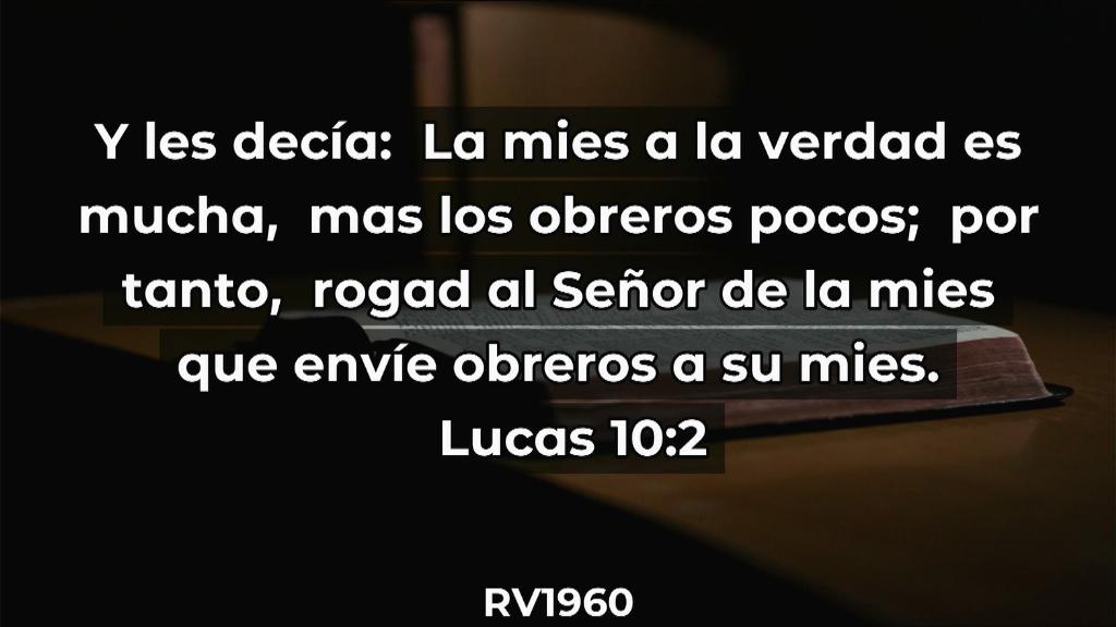 Esperanza de Vida 2025 07 06 11 35 3236
