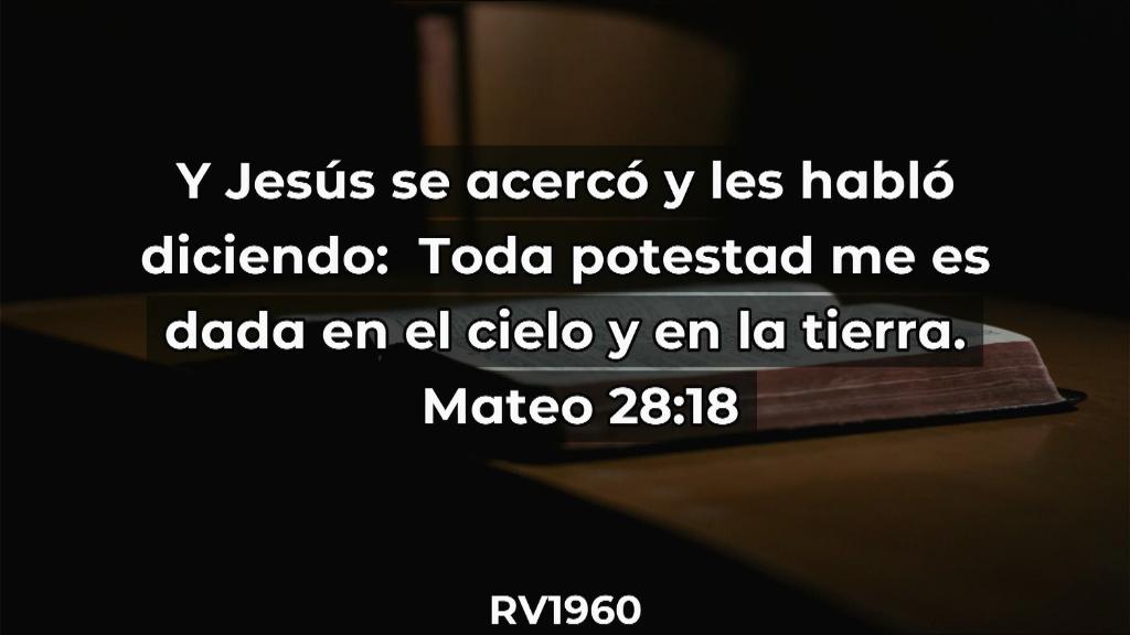 Esperanza de Vida 2025 07 06 11 35 3237