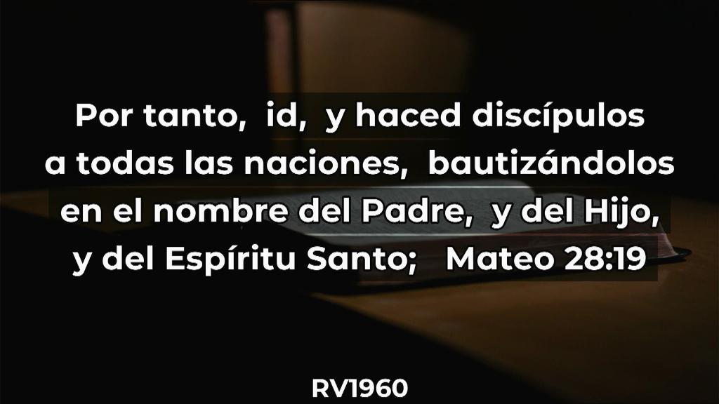 Esperanza de Vida 2025 07 06 11 35 3238