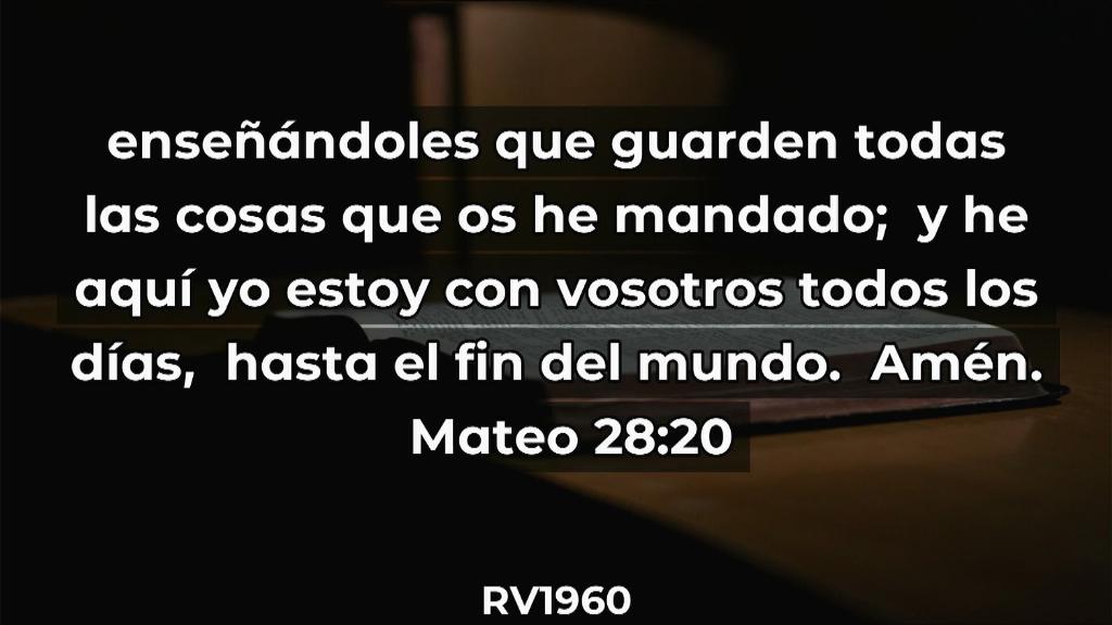 Esperanza de Vida 2025 07 06 11 35 3240