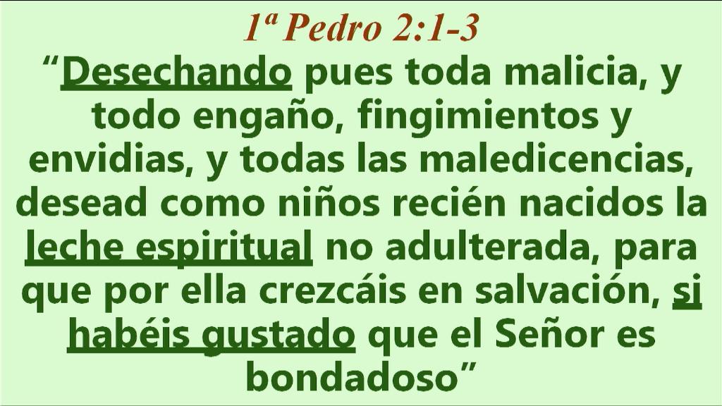 Esperanza de Vida 2025 07 27 11 32 2423