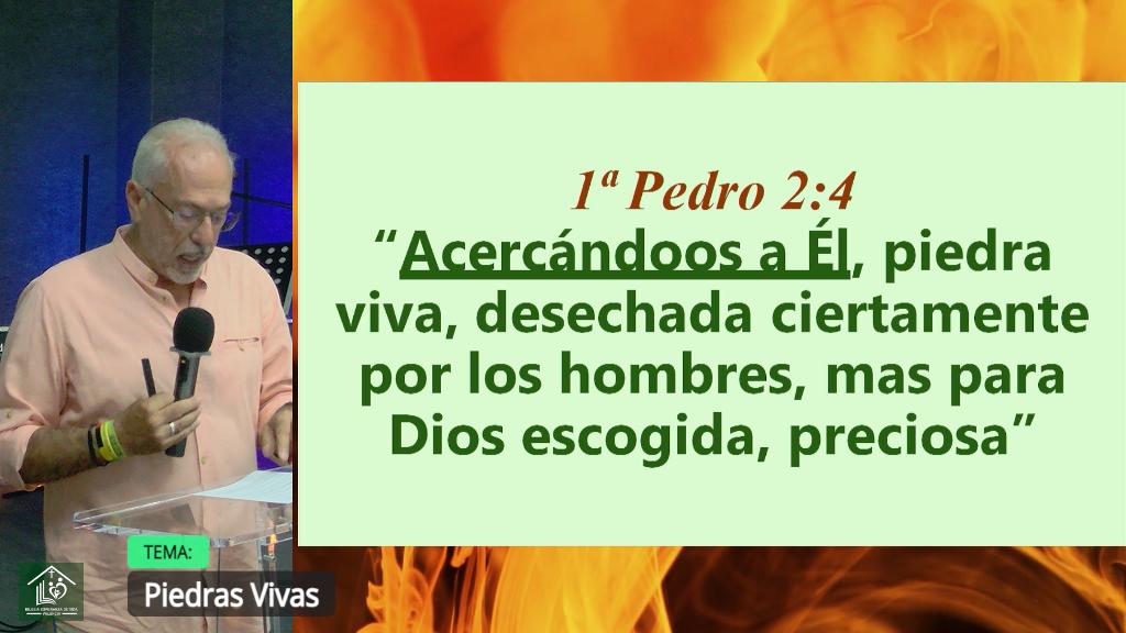 Esperanza de Vida 2025 07 27 11 32 2425
