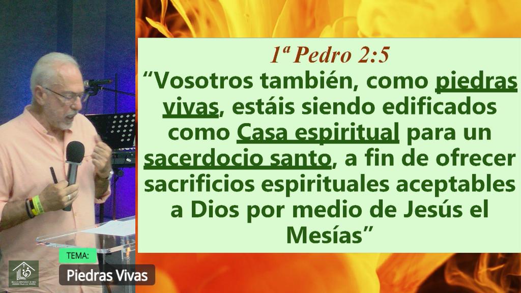 Esperanza de Vida 2025 07 27 11 32 2428