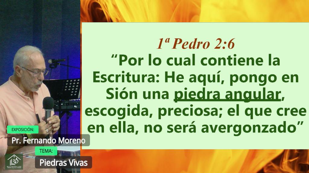 Esperanza de Vida 2025 07 27 11 32 2429