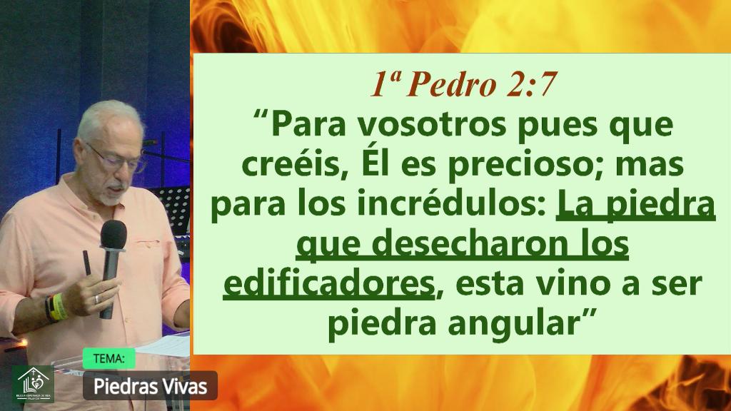 Esperanza de Vida 2025 07 27 11 32 2432