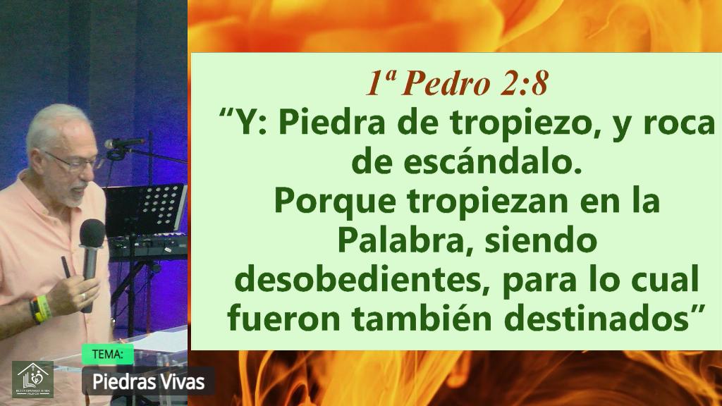 Esperanza de Vida 2025 07 27 11 32 2434