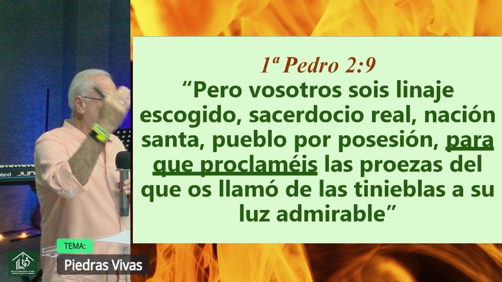 Esperanza de Vida 2025 07 27 11 32 2435