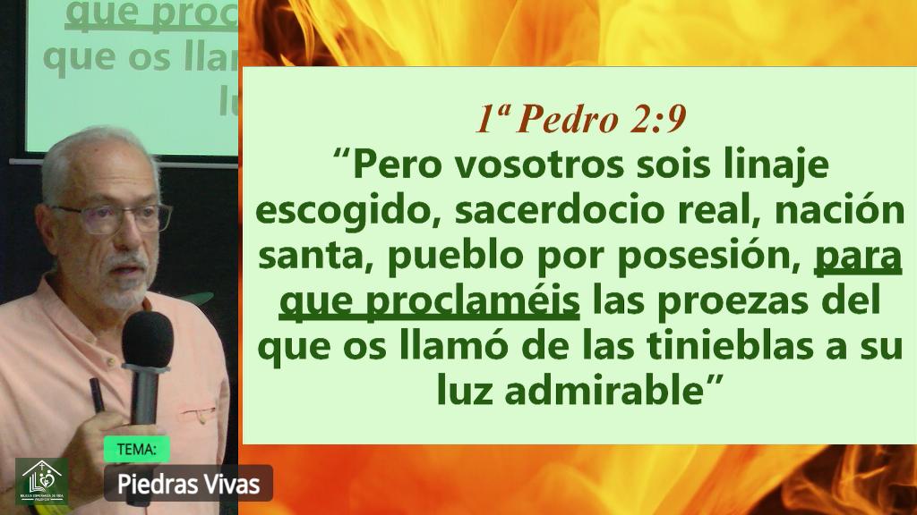 Esperanza de Vida 2025 07 27 11 32 2436