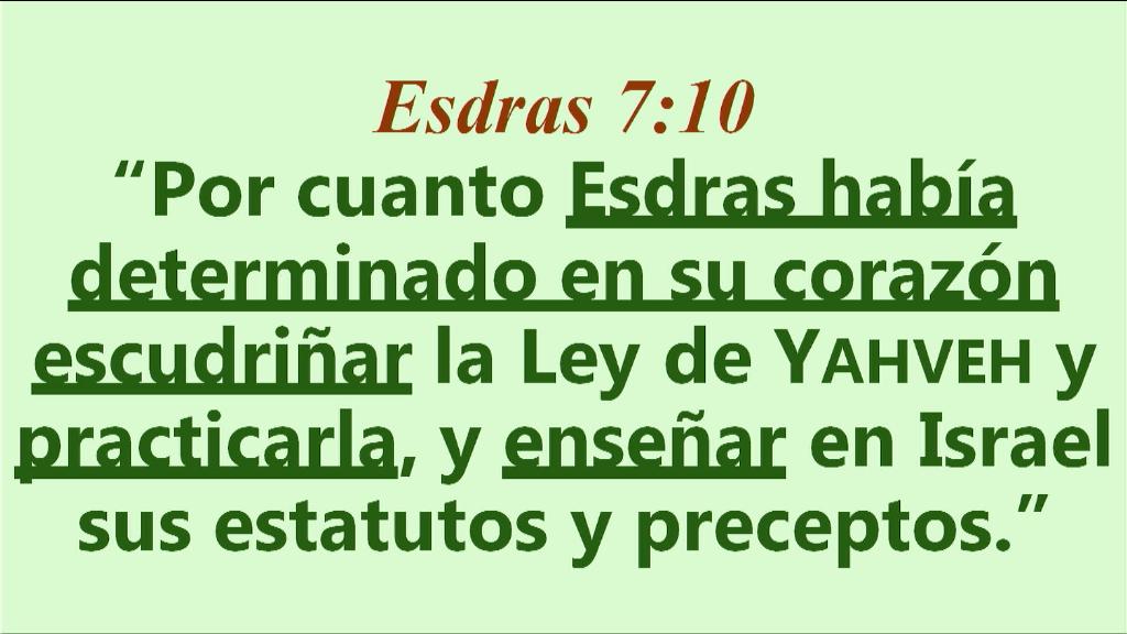 Esperanza de Vida 2025 08 03 11 33 1020 Esperanza de Vida 2025 08 03 11 33 1020