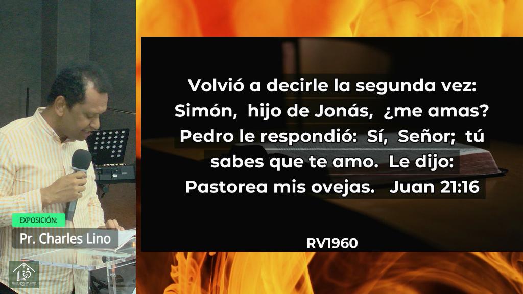 Esperanza de Vida 2025 08 10 11 34 4816 Esperanza de Vida 2025 08 10 11 34 4816