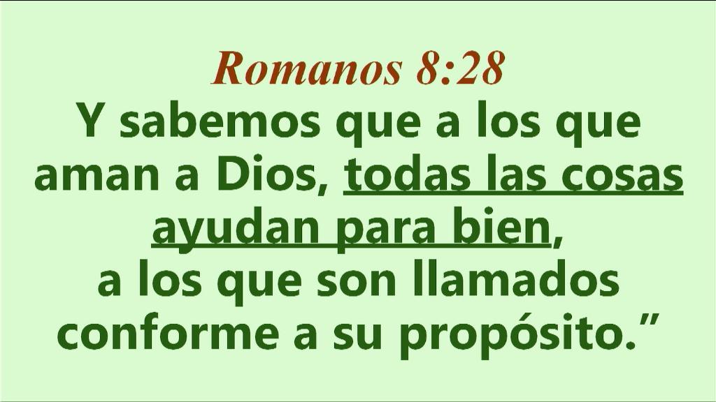 Esperanza de Vida 2025 08 17 11 36 4417
