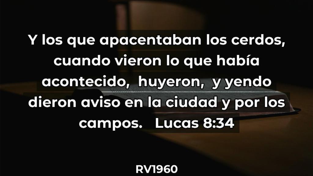 Esperanza de Vida 2025 08 31 11 34 2124