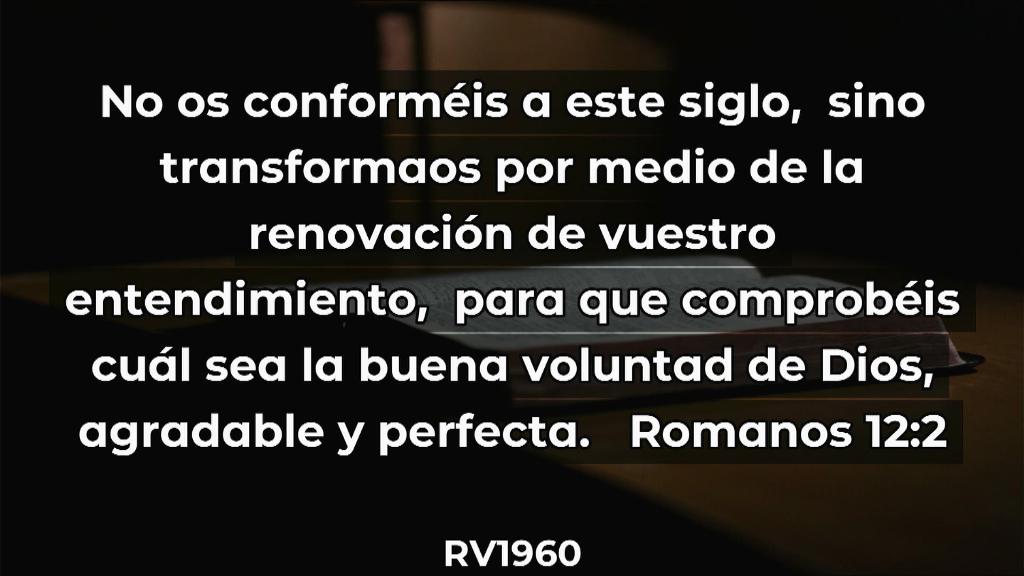 Esperanza de Vida 2025 08 31 11 34 2132