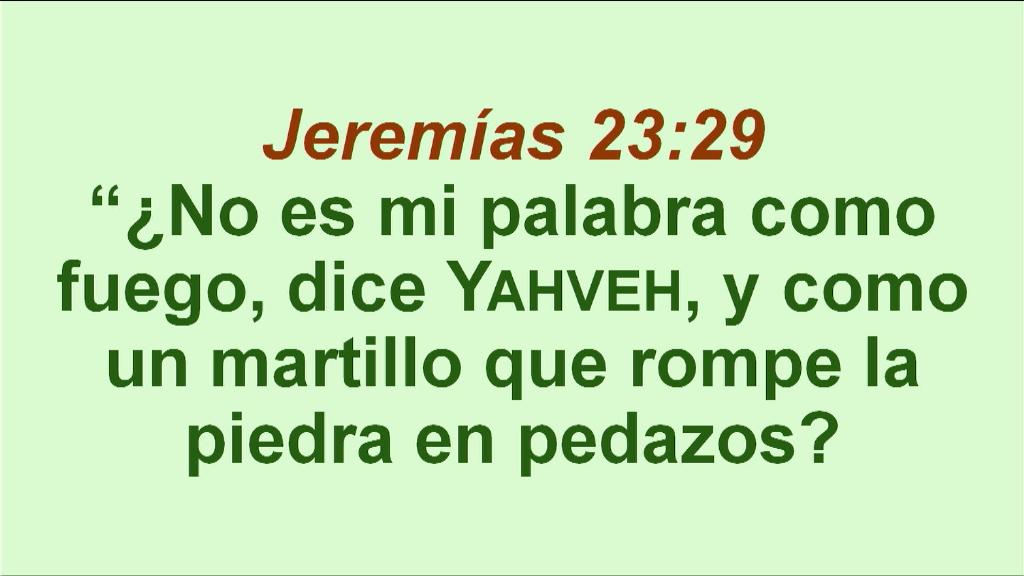 Esperanza de Vida 2025 09 07 11 34 4673