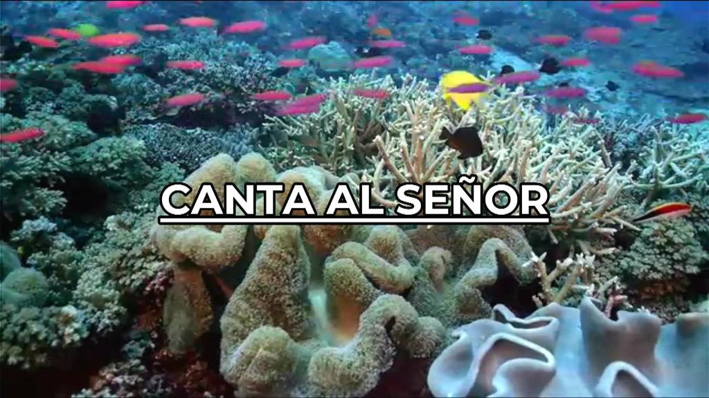 Esperanza de Vida 2025 09 28 11 40 531