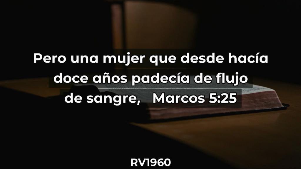 Esperanza de Vida 20250921 WA000118