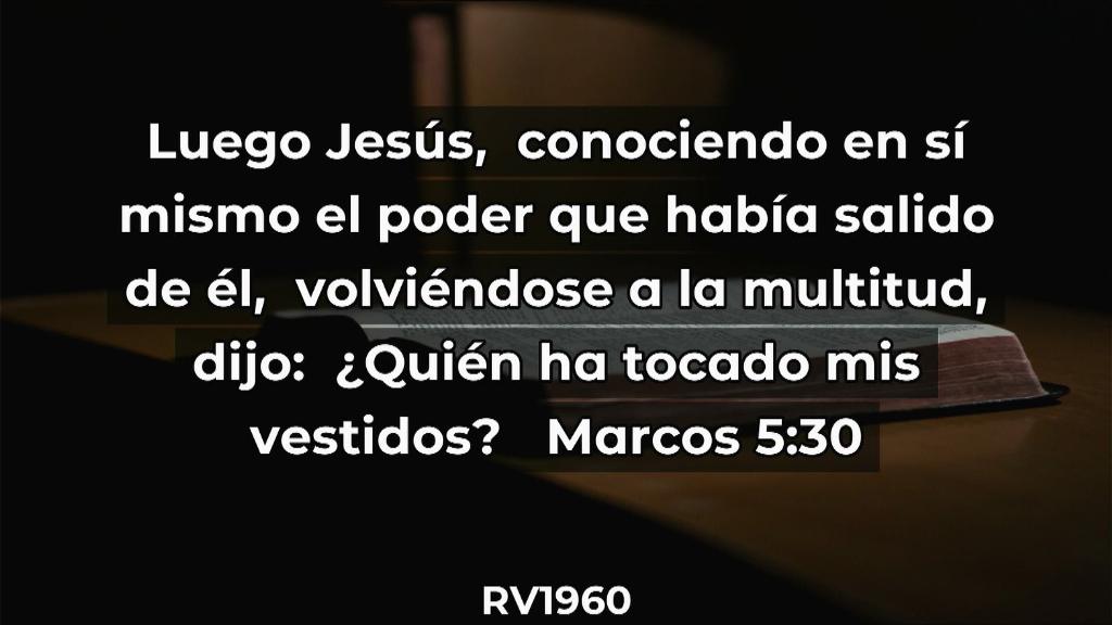 Esperanza de Vida 20250921 WA000121