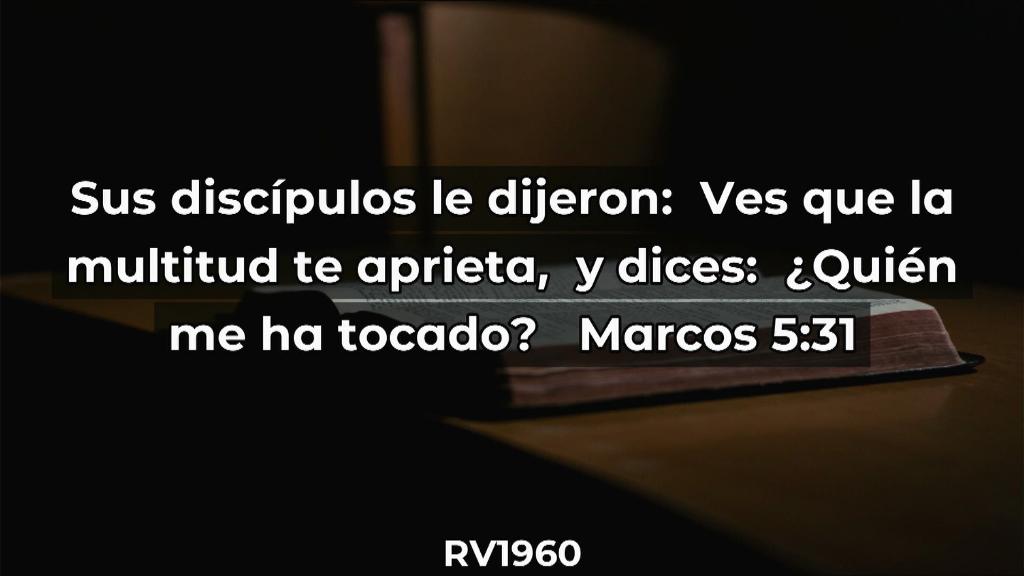 Esperanza de Vida 20250921 WA000122