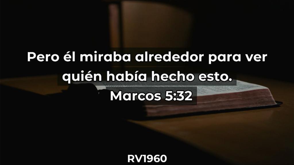 Esperanza de Vida 20250921 WA000123