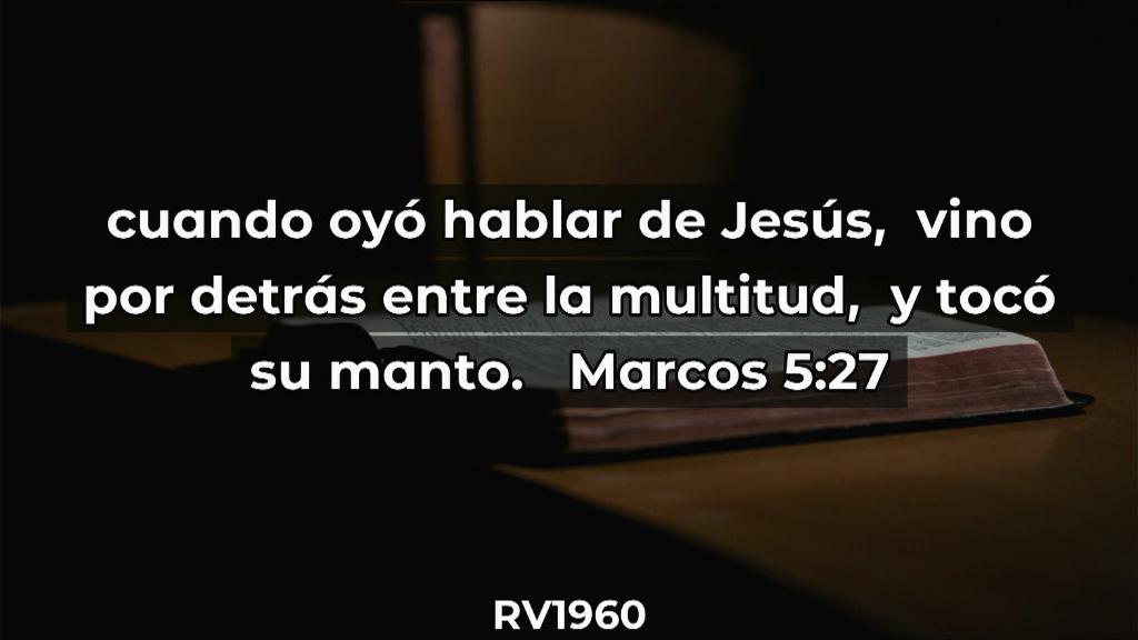 Esperanza de Vida 20250921 WA000126