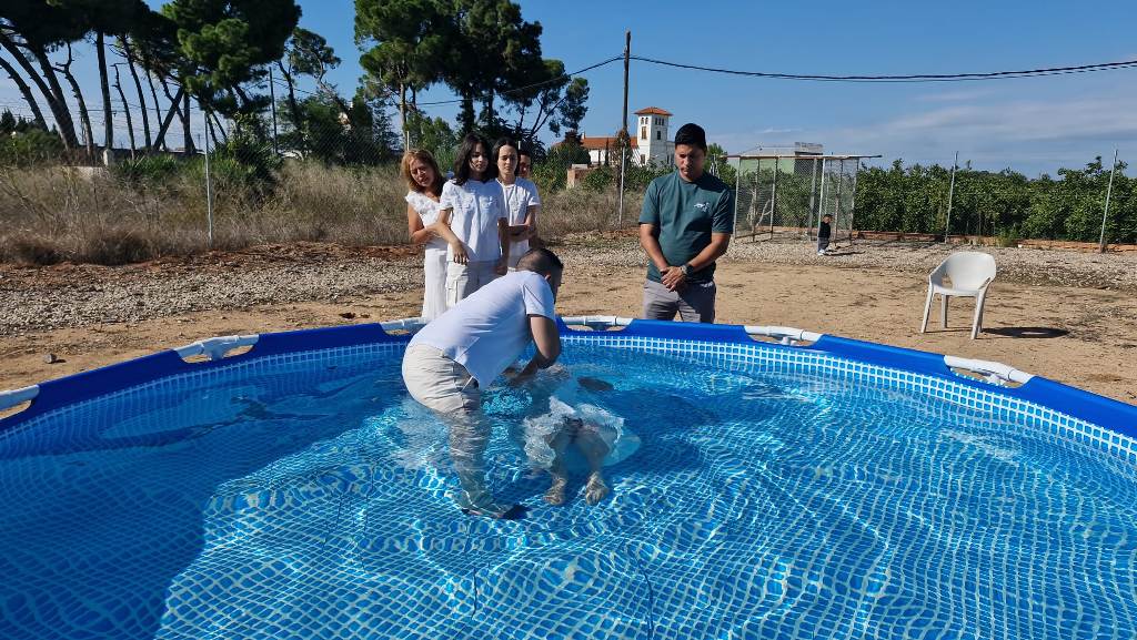 Esperanza de Vida 2025 10 05 a las 16.19.14 73db7bba27
