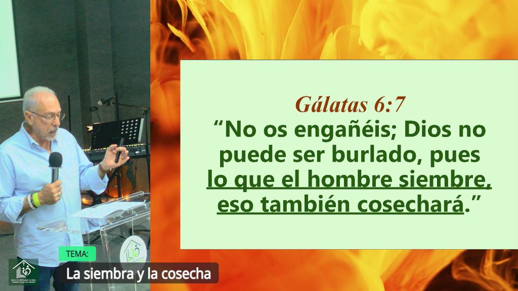 Esperanza de Vida 2025 10 19 11 34 2029