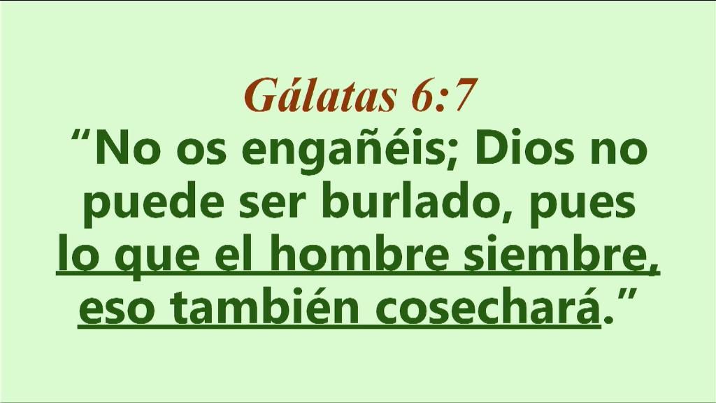 Esperanza de Vida 2025 10 19 11 34 2030