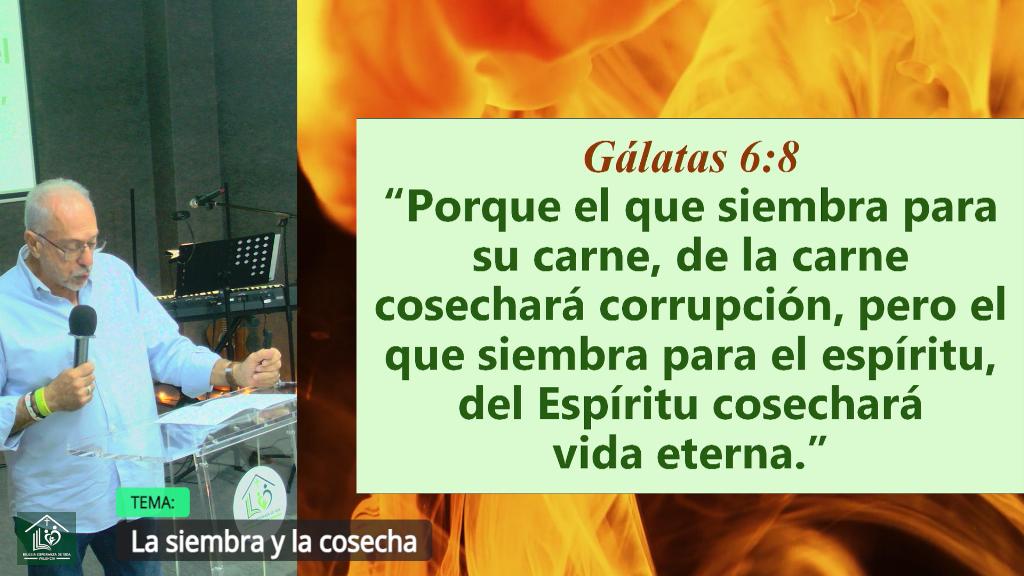 Esperanza de Vida 2025 10 19 11 34 2031