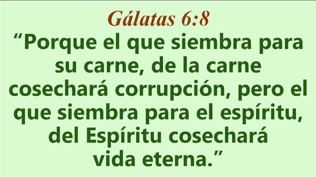 Esperanza de Vida 2025 10 19 11 34 2032