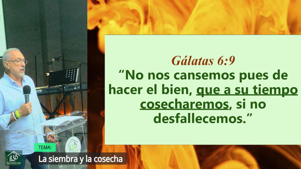 Esperanza de Vida 2025 10 19 11 34 2033