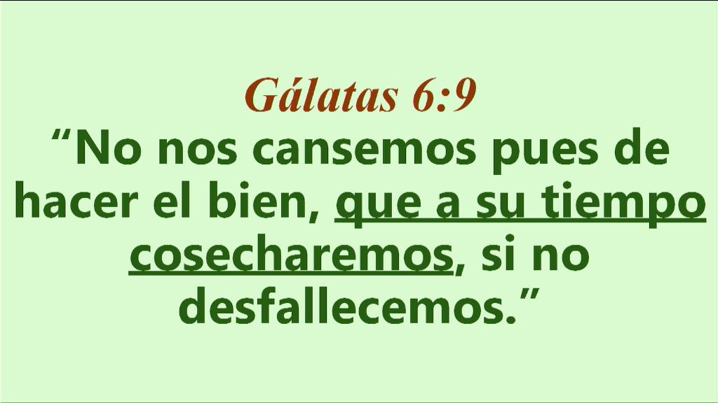 Esperanza de Vida 2025 10 19 11 34 2034