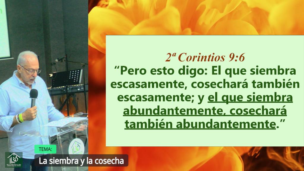Esperanza de Vida 2025 10 19 11 34 2036