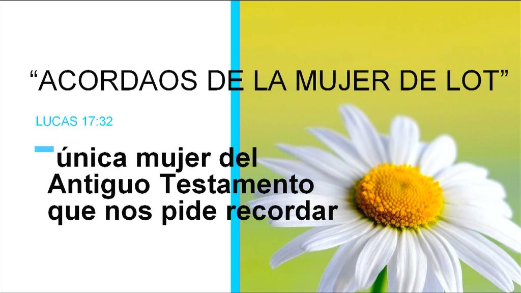 Esperanza de Vida 2025 10 25 17 39 0124 Esperanza de Vida 2025 10 25 17 39 0124