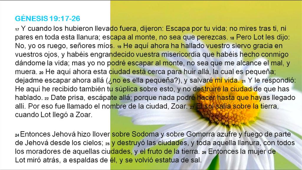 Esperanza de Vida 2025 10 25 17 39 0126 Esperanza de Vida 2025 10 25 17 39 0126